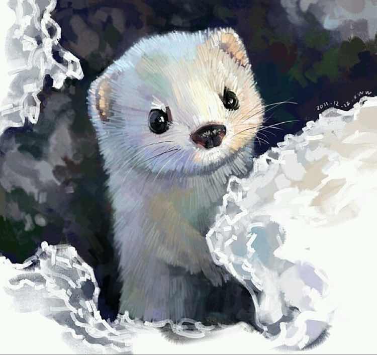 tory burch 糖果色芭蕾平底鞋